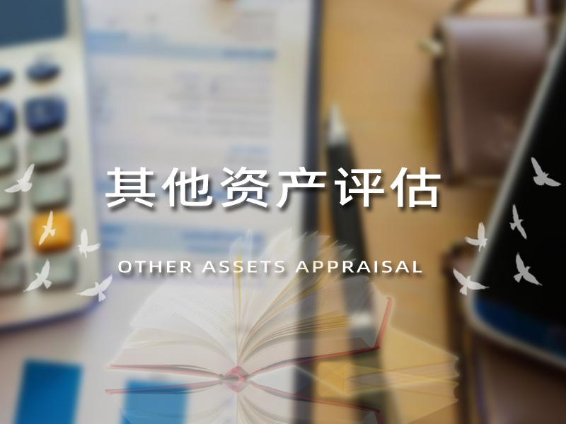 其他资产评估